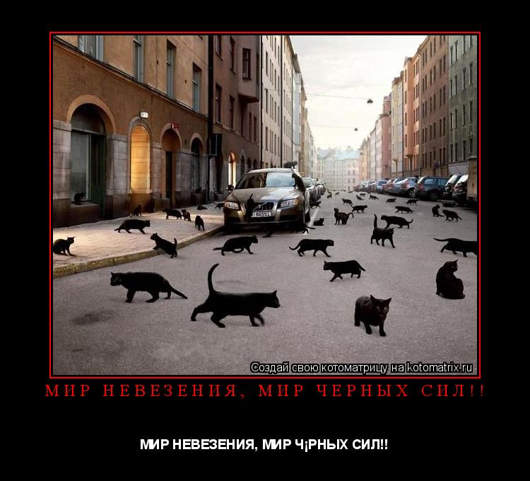 МИР НЕВЕЗЕНИЯ, МИР ЧЁРНЫХ СИЛ!! МИР НЕВЕЗЕНИЯ, МИР ЧЁРНЫХ СИЛ!!... Котоматрица: МИР НЕВЕЗЕНИЯ, МИР ЧЁРНЫХ СИЛ!! МИР НЕВЕЗЕНИЯ, МИР ЧЁРНЫХ СИЛ!!