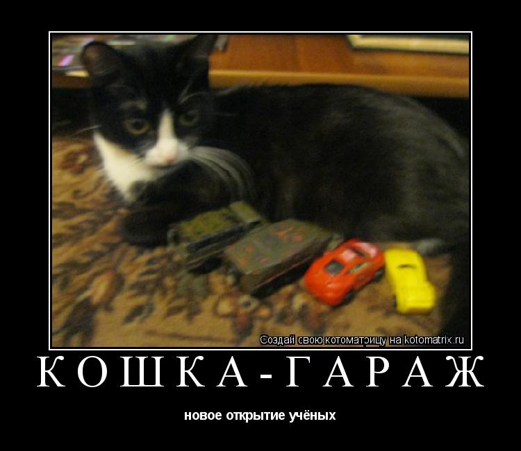 Кошка-Гараж новое открытие учёных... Котоматрица: Кошка-Гараж новое открытие учёных