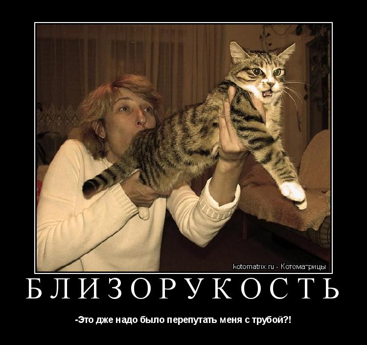 Котоматрица: Близорукость -Это дже надо было перепутать меня с трубой?!