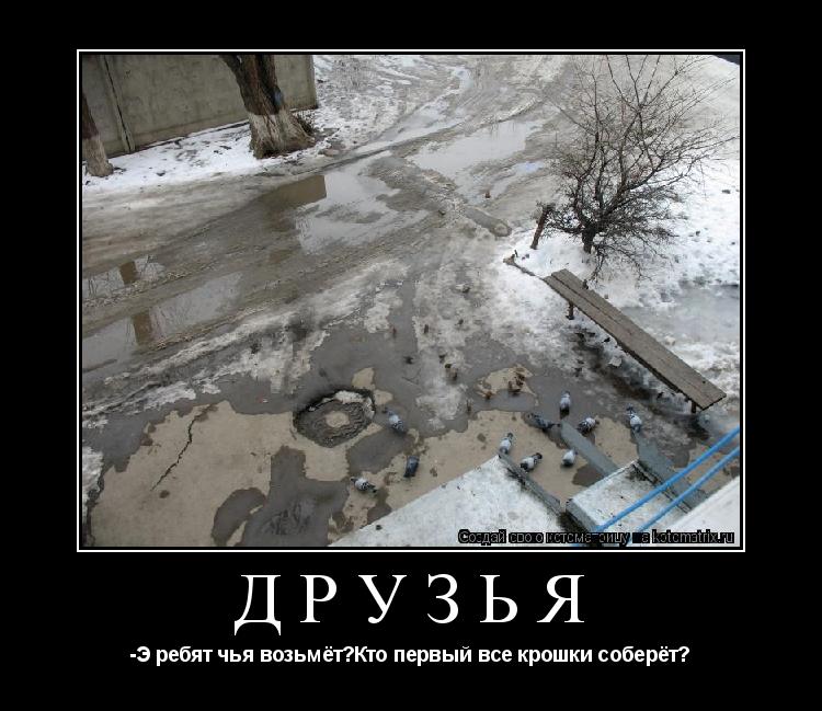 Котоматрица: Друзья -Э ребят чья возьмёт?Кто первый все крошки соберёт?
