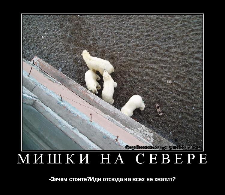 Котоматрица: Мишки на Севере -Зачем стоите?Иди отсюда на всех не хватит?