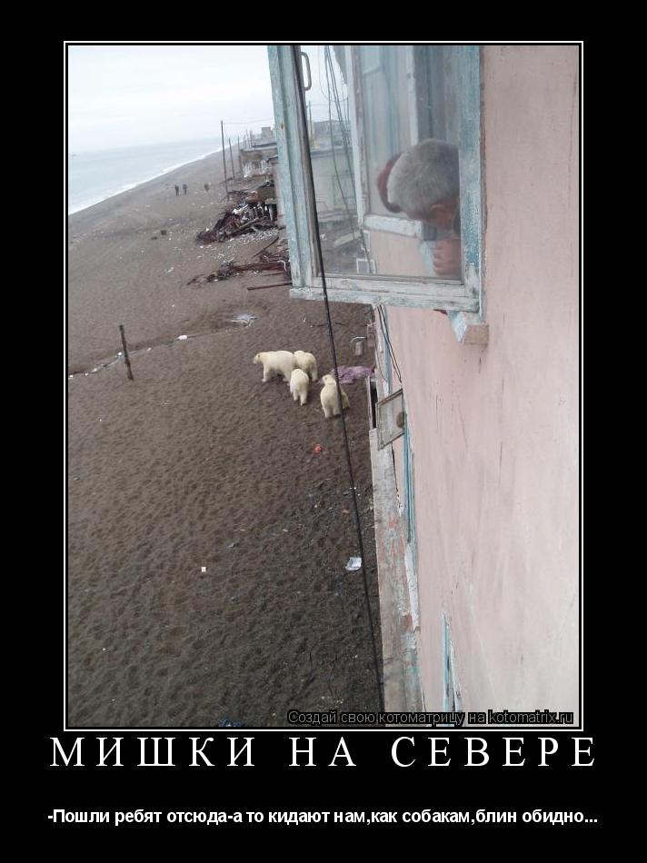 Котоматрица: Мишки на Севере -Пошли ребят отсюда-а то кидают нам,как собакам,блин обидно...