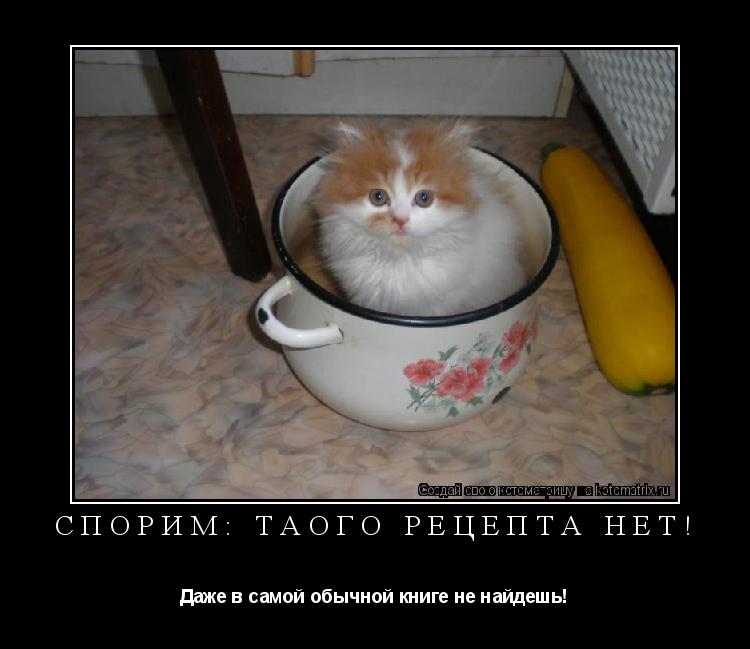 Котоматрица: Спорим: таого рецепта нет! Даже в самой обычной книге не найдешь!