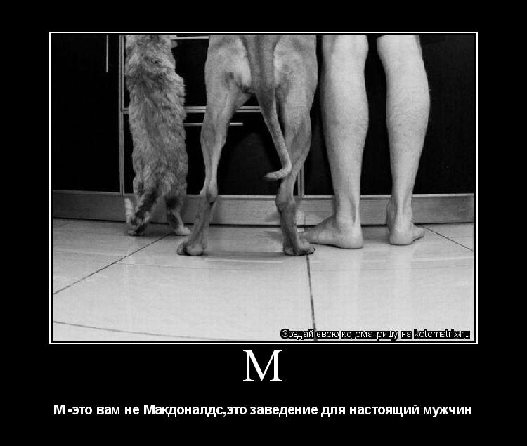 Котоматрица: М М -это вам не Макдоналдс,это заведение для настоящий мужчин