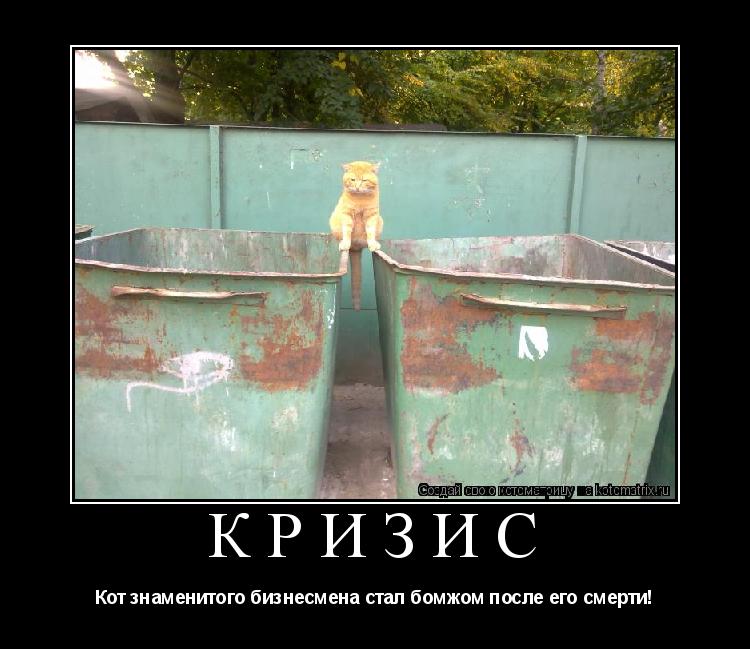 Котоматрица: Кризис Кот знаменитого бизнесмена стал бомжом после его смерти!