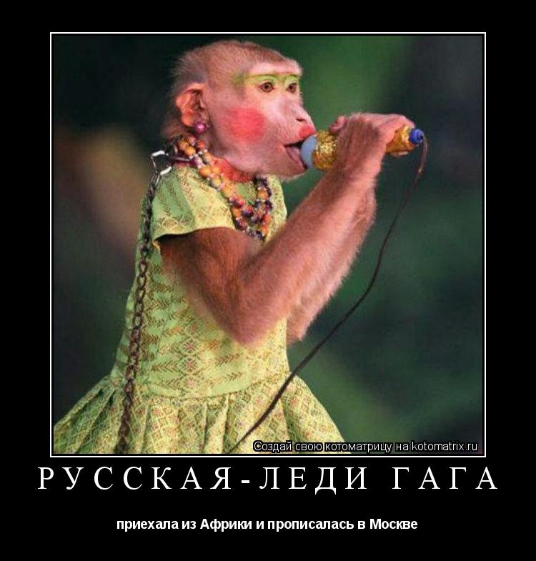 Русская-Леди Гага приехала из Африки и прописалась в Москве... Котоматрица: Русская-Леди Гага приехала из Африки и прописалась в Москве