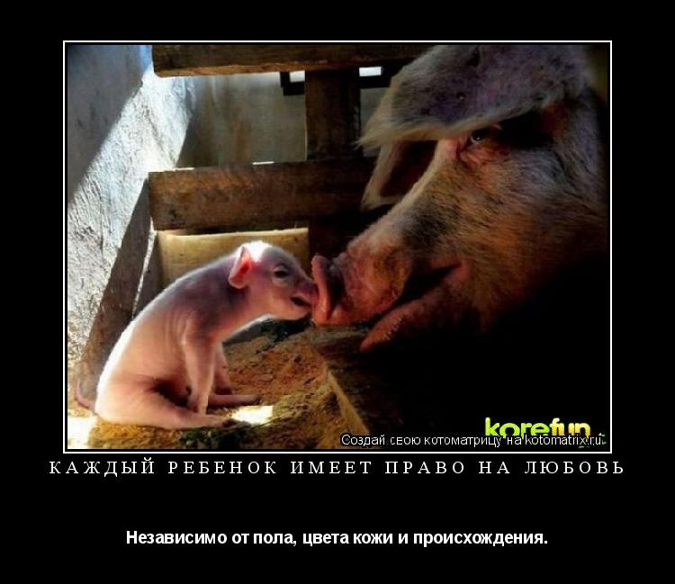 Котоматрица: Каждый ребенок имеет право на любовь Независимо от пола, цвета кожи и происхождения.