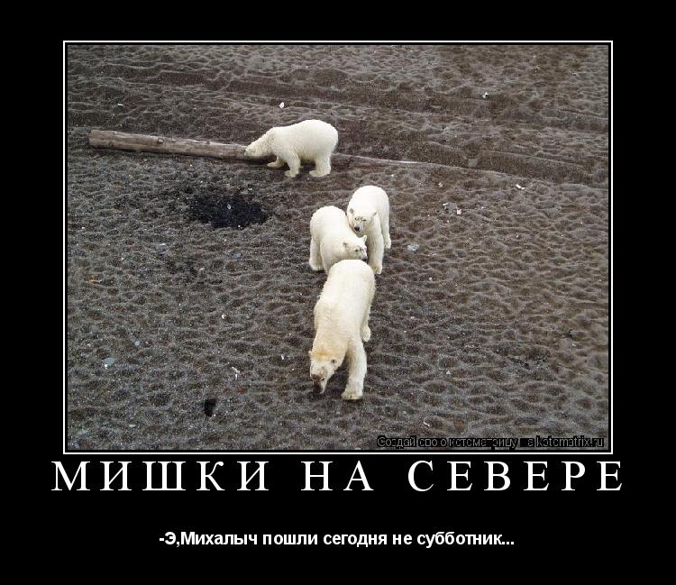 Котоматрица: Мишки на Севере -Э,Михалыч пошли сегодня не субботник...