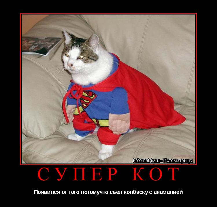 Котоматрица: Супер кот Появился от того потомучто сьел колбаску с анамалией