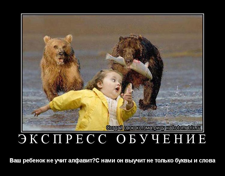 экспресс обучение Ваш ребенок не учит алфавит?С нами он выучит не только буквы и слова... Котоматрица: экспресс обучение Ваш ребенок не учит алфавит?С нами он выучит не только буквы и слова