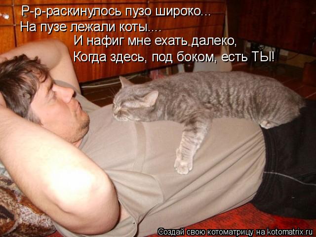 Котоматрица: Р-р-раскинулось пузо широко... На пузе лежали коты.... И нафиг мне ехать далеко, Когда здесь, под боком, есть ТЫ!