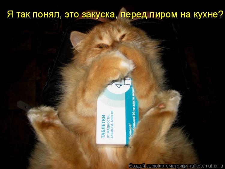 Котоматрица: Я так понял, это закуска, перед пиром на кухне?