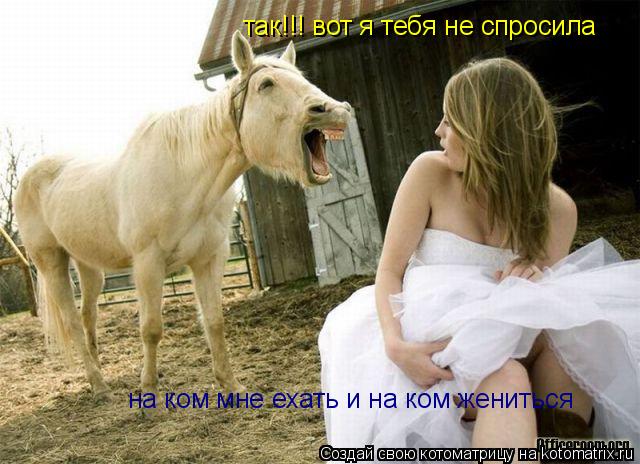 Котоматрица: так!!! вот я тебя не спросила на ком мне ехать и на ком жениться