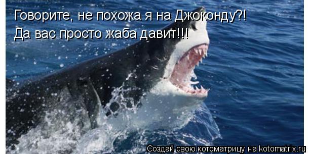 Котоматрица: Говорите, не похожа я на Джоконду?! Да вас просто жаба давит!!!