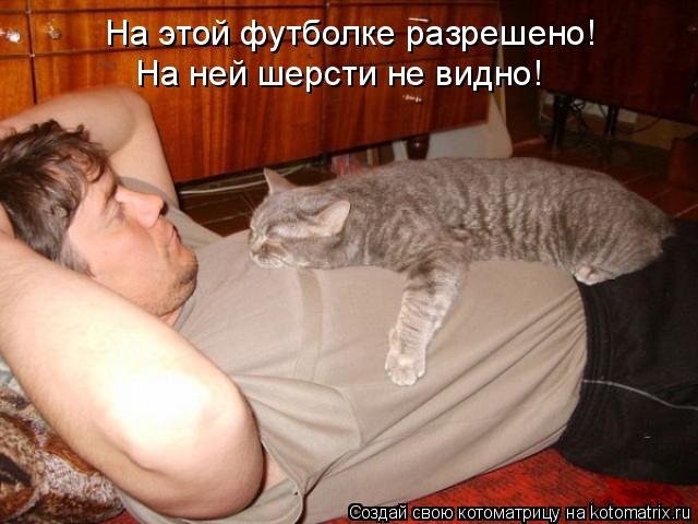 Котоматрица: На этой футболке разрешено! На ней шерсти не видно!