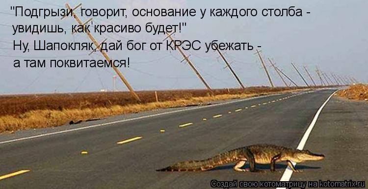 Котоматрица: "Подгрызи, говорит, основание у каждого столба - увидишь, как красиво будет!" Ну, Шапокляк, дай бог от КРЭС убежать - а там поквитаемся!