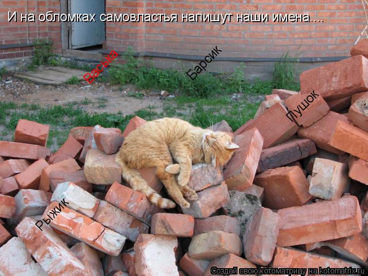 Котоматрица: И на обломках самовластья напишут наши имена.... Васька Барсик Пушок Рыжик