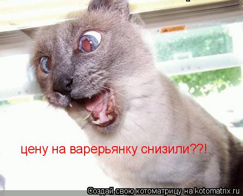 Котоматрица: цену на варерьянку снизили??!