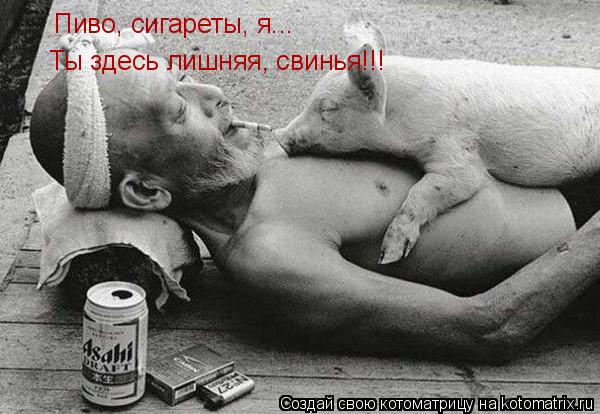 Котоматрица: Пиво, сигареты, я... Ты здесь лишняя, свинья!!!