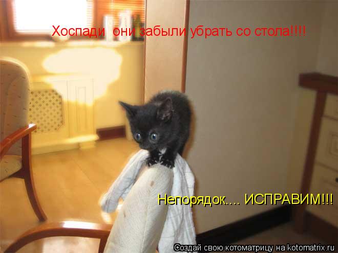 Котоматрица: Хоспади  они забыли убрать со стола!!!! Непорядок.... ИСПРАВИМ!!!