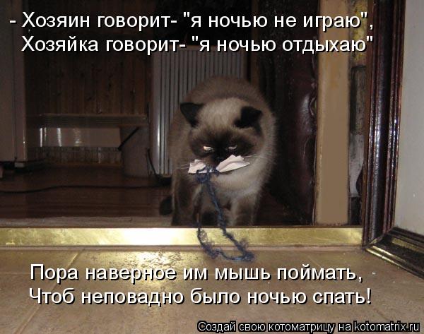 Котоматрица: - Хозяин говорит- "я ночью не играю", Хозяйка говорит- "я ночью отдыхаю" Пора наверное им мышь поймать, Чтоб неповадно было ночью спать!