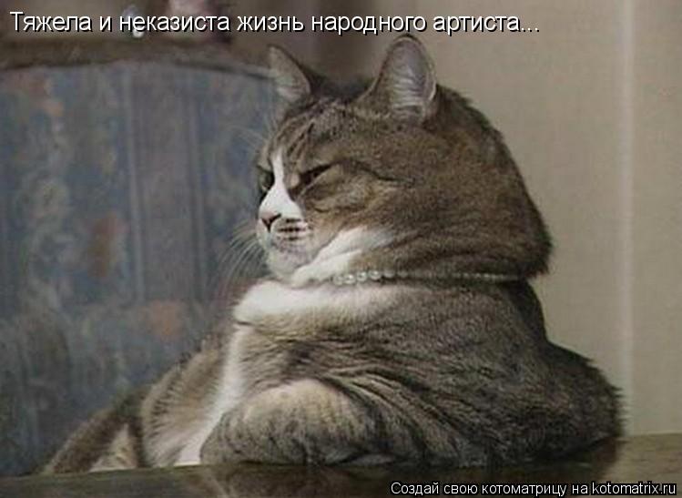Котоматрица: Тяжела и неказиста жизнь народного артиста...