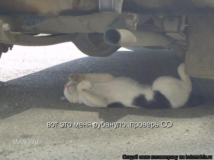 Котоматрица: вот это меня рубануло..проверь СО