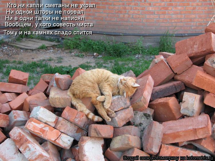 Котоматрица: Кто ни капли сметаны не украл Ни одной шторы не порвал Ни в одни тапки не написял Вообщем, у кого совесть чиста Тому и на камнях сладо спится