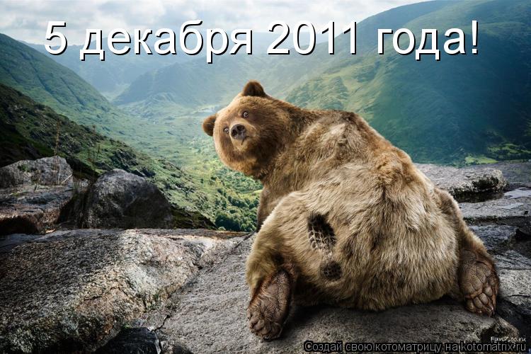 Котоматрица: 5 декабря 2011 года!