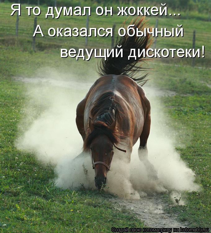 Котоматрица: Я то думал он жоккей... А оказался обычный  ведущий дискотеки!