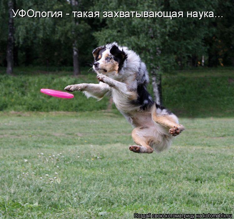 Котоматрица: УФОлогия - такая захватывающая наука...