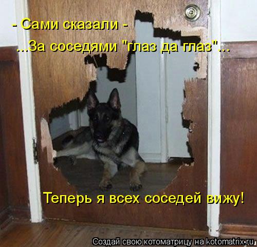 - Сами сказали - ...За соседями "глаз да глаз"... Теперь я всех соседей вижу!... Котоматрица: - Сами сказали - ...За соседями "глаз да глаз"... Теперь я всех соседей вижу!