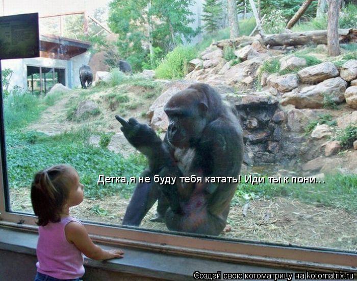 Котоматрица: Детка,я не буду тебя катать! Иди ты к пони...