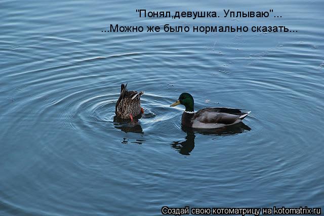 Котоматрица: "Понял,девушка. Уплываю"... ...Можно же было нормально сказать...