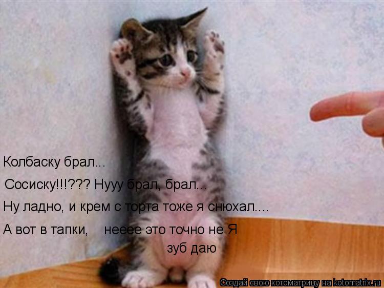 Котоматрица: Сосиску!!!??? Нууу брал, брал... Колбаску брал... А вот в тапки,    нееее это точно не Я зуб даю Ну ладно, и крем с торта тоже я снюхал....