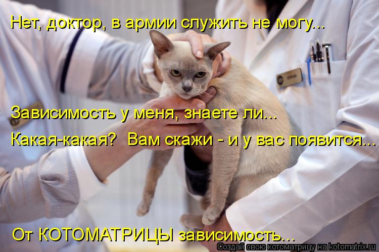 Котоматрица: Нет, доктор, в армии служить не могу... Зависимость у меня, знаете ли... Какая-какая?  Вам скажи - и у вас появится... От КОТОМАТРИЦЫ зависимость...