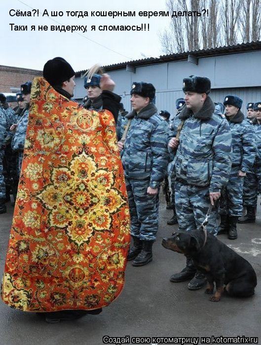 Котоматрица: Сёма?! А шо тогда кошерным евреям делать?!  Таки я не видержу, я сломаюсь!!!