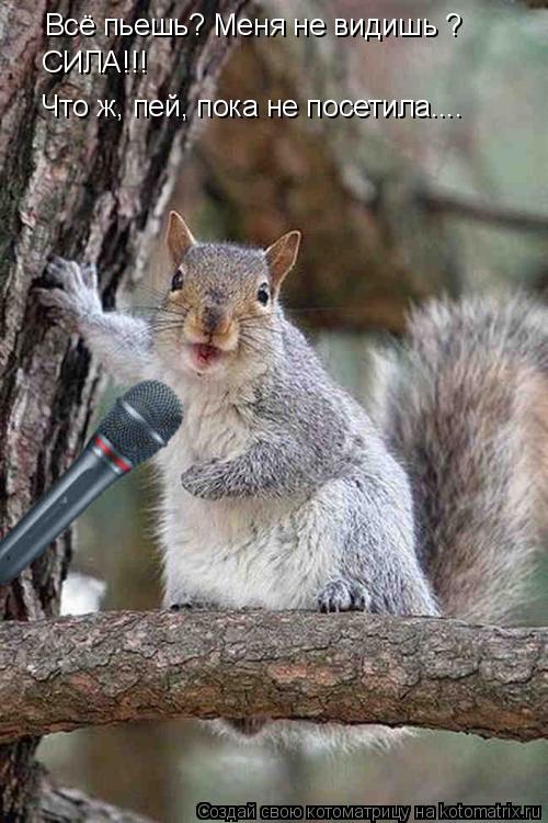 Котоматрица: Всё пьешь? Меня не видишь ? СИЛА!!! Что ж, пей, пока не посетила....