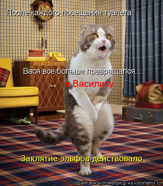 Котоматрица: После каждого посещения туалета  Вася все больше превращался.... в Василису Заклятие эльфов действовало