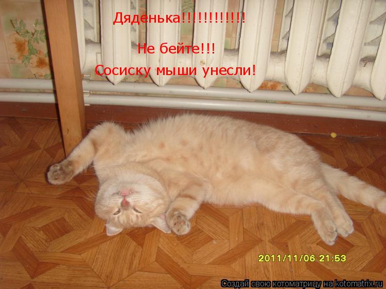 Котоматрица: Дяденька!!!!!!!!!!!! Не бейте!!! Сосиску мыши унесли!