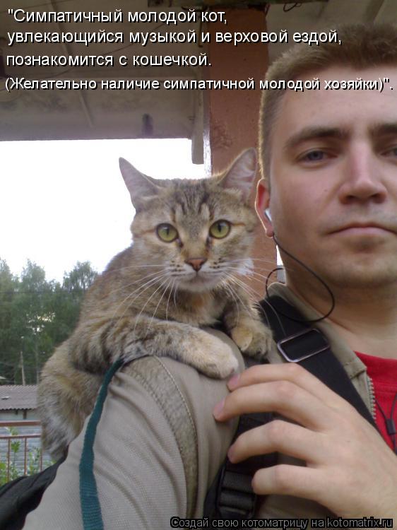 Котоматрица: "Симпатичный молодой кот,  увлекающийся музыкой и верховой ездой, познакомится с кошечкой. (Желательно наличие симпатичной молодой хозяйки