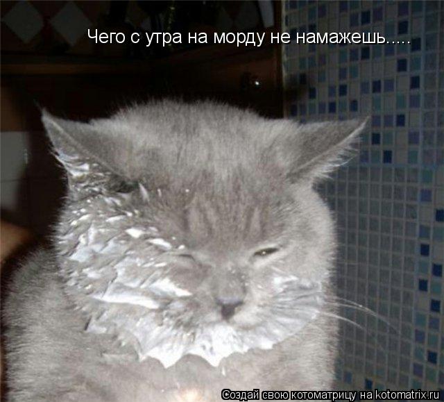 Котоматрица: Чего с утра на морду не намажешь.....