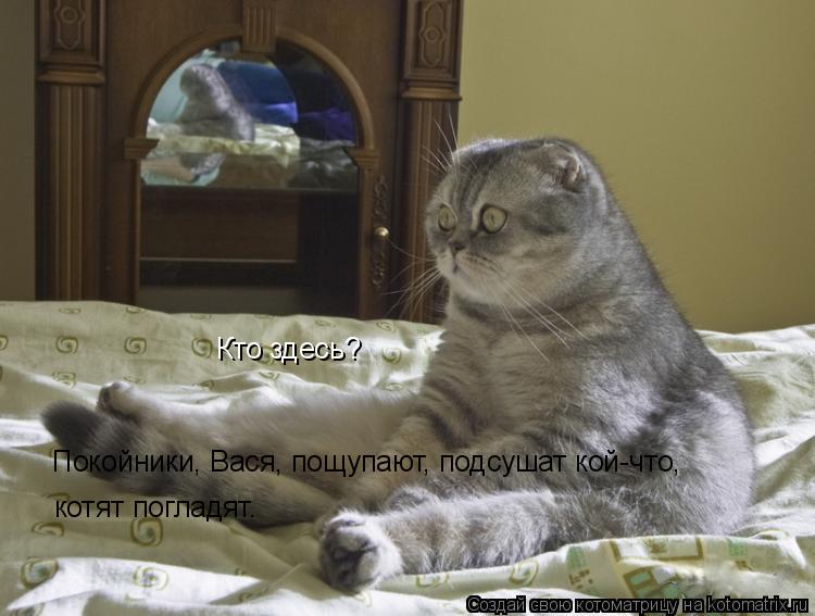 Котоматрица: Кто здесь? Покойники, Вася, пощупают, подсушат кой-что, котят погладят.