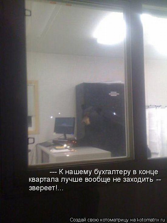 --- К нашему бухгалтеру в конце квартала лучше вообще не заходить -- звереет!...... Котоматрица: --- К нашему бухгалтеру в конце квартала лучше вообще не заходить -- звереет!...
