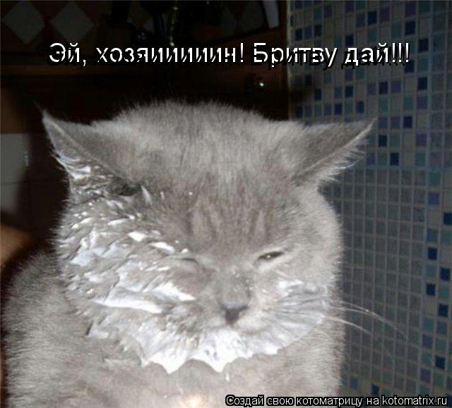 Котоматрица: Эй, хозяииииин! Бритву дай!!! Эй, хозяииииин! Бритву дай!!!