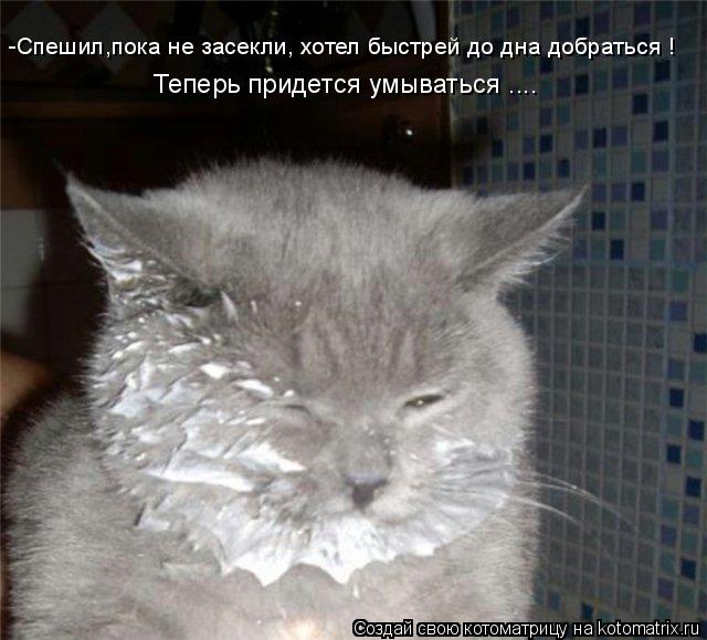 Котоматрица: -Спешил,пока не засекли, хотел быстрей до дна добраться ! Теперь придется умываться ....