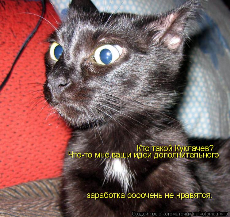 Котоматрица: Кто такой Куклачев? Что-то мне ваши идеи дополнительного заработка оооочень не нравятся.