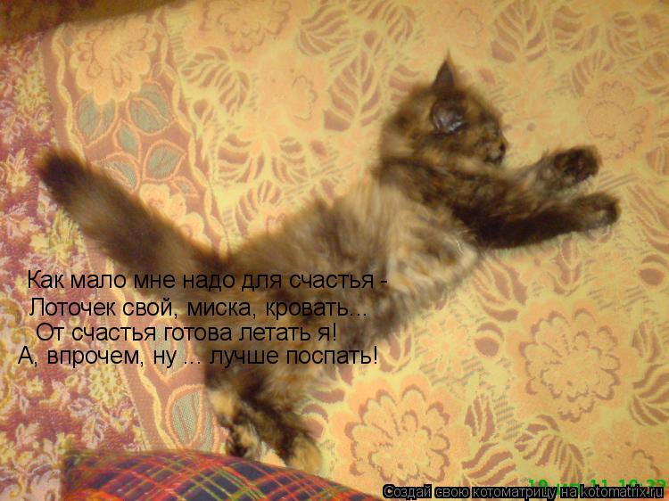 Котоматрица: Как мало мне надо для счастья -  Лоточек свой, миска, кровать... От счастья готова летать я! А, впрочем, ну ... лучше поспать!