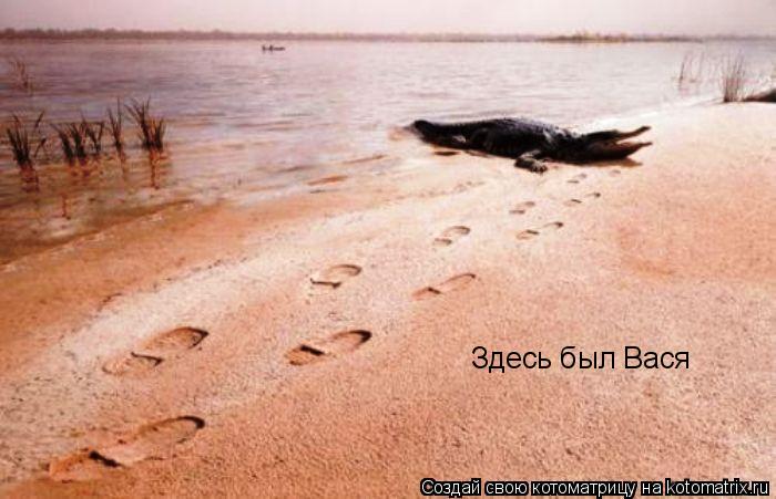 Котоматрица: Здесь был Вася
