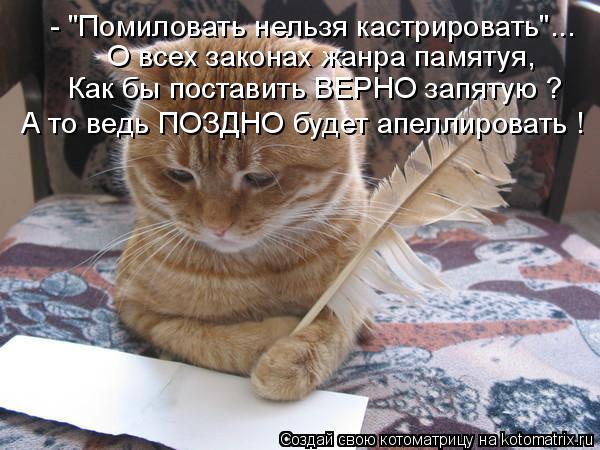 Котоматрица: - "Помиловать нельзя кастрировать"... О всех законах жанра памятуя, Как бы поставить ВЕРНО запятую ? А то ведь ПОЗДНО будет апеллировать !